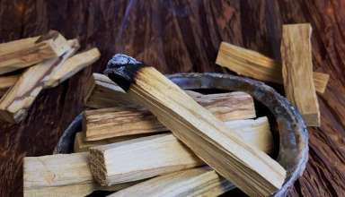 Palo Santo